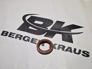 Uszczelniacz wału korbowego silnik KOOP 192F